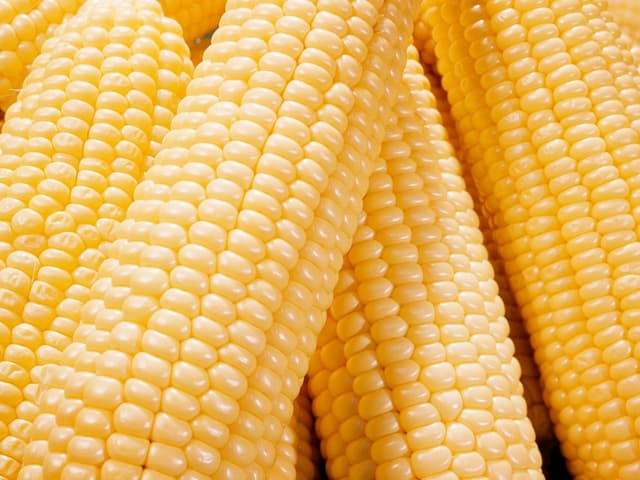  Corn