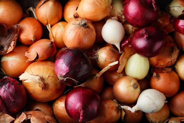  Onions