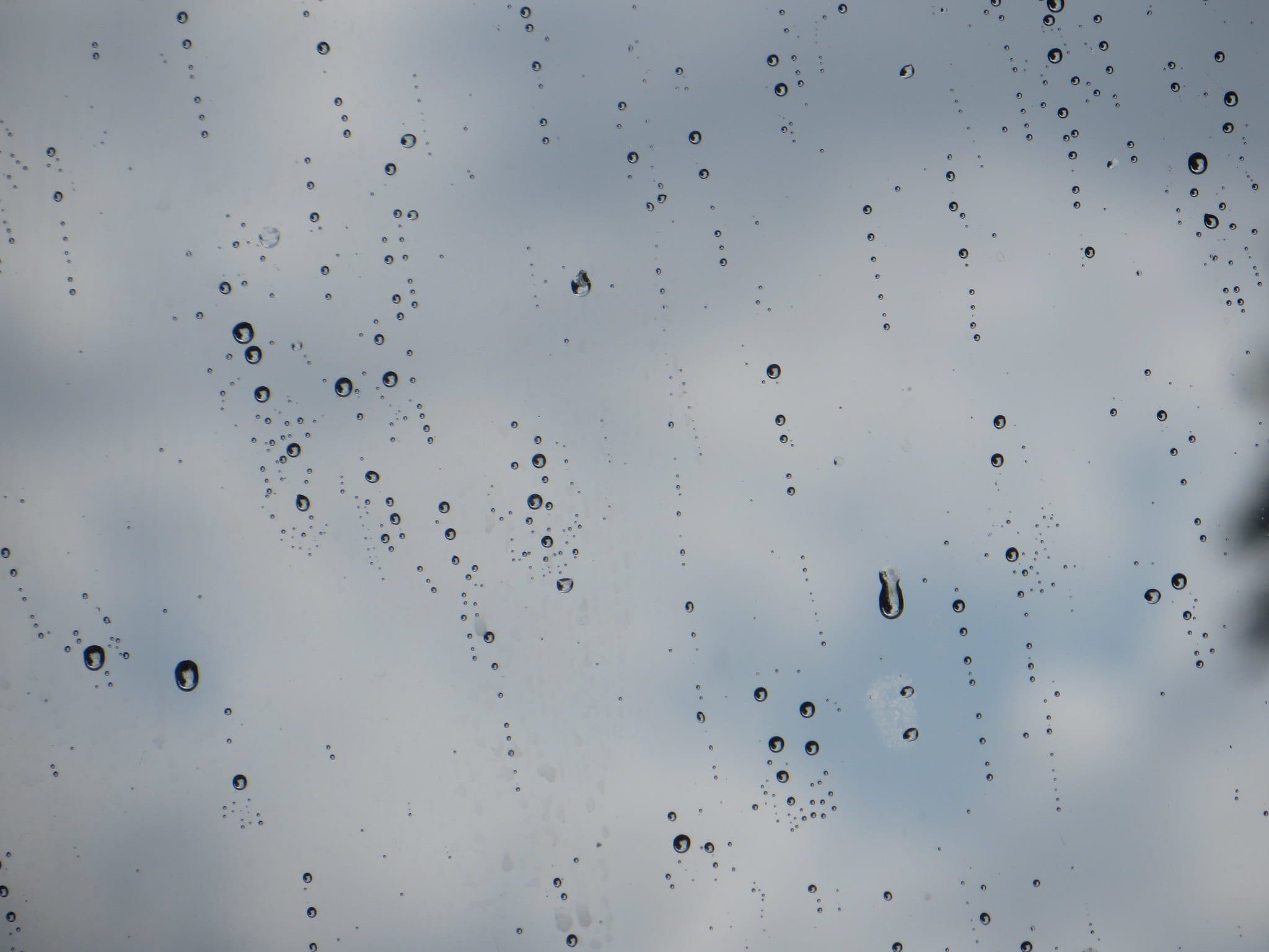 Weather